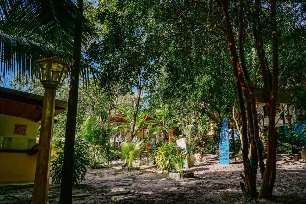 Macaco Surf Hostel Praia de Pipa Luaran gambar