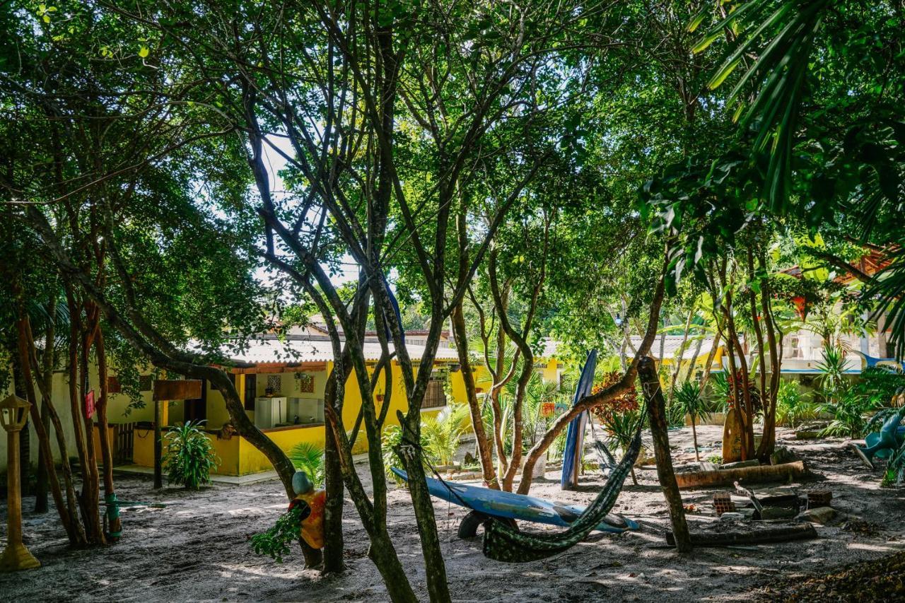 Macaco Surf Hostel Praia de Pipa Luaran gambar